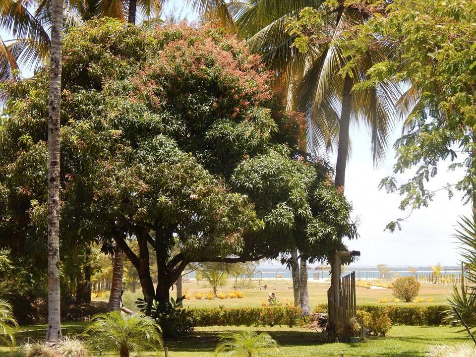 Pousada Aguazul Marau  Luaran gambar